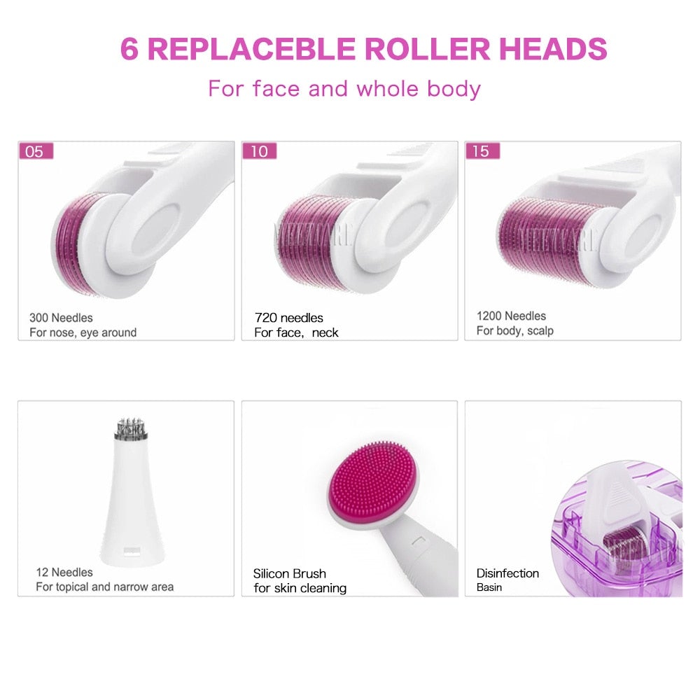 Multifunctional Microneedle Derma Roller Kit